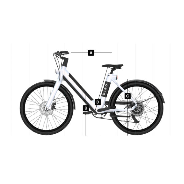 Bici Elettrica Bird Bike V-Frame E-Bike Solandata 8