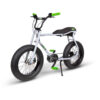 E- Bike Lil’Buddy 20″ Motore Bosch Active-Line 250W Batteria 300Wh Grigio E-Bike Solandata 7