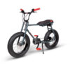 E- Bike Lil’Buddy 20″ Motore Bosch Active-Line 250W Batteria 300Wh Antracite E-Bike Solandata 7