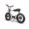 E- Bike Lil’Buddy 20″ Motore Bosch Active-Line 250W Batteria 300Wh Antracite E-Bike Solandata 10