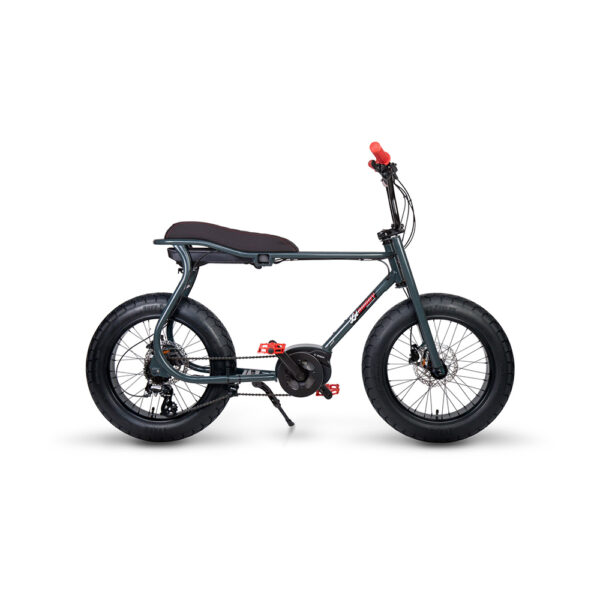 E- Bike Lil’Buddy 20″ Motore Bosch Active-Line 250W Batteria 300Wh Antracite E-Bike Solandata 4