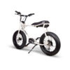 Ebike Lil’Buddy E-Bike Solandata 10