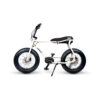 Ebike Lil’Buddy E-Bike Solandata 9